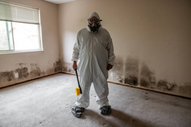 Best Commercial Mold Removal  in Csar Chvez, TX